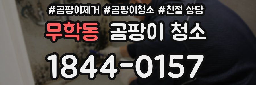 무학동 곰팡이 청소