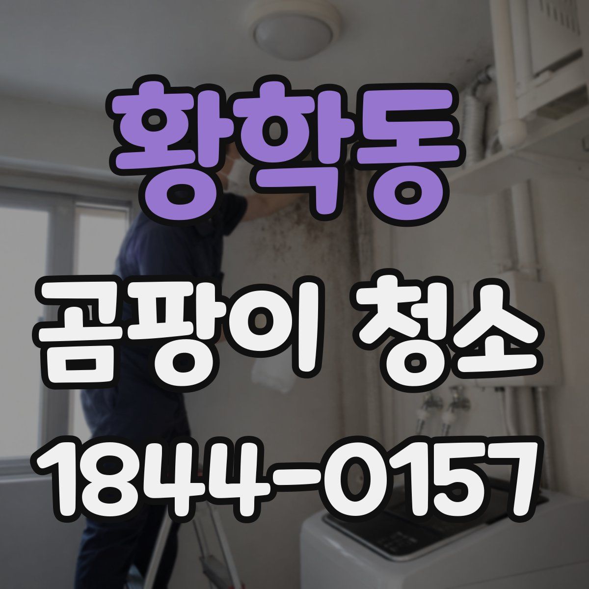 황학동 곰팡이 청소