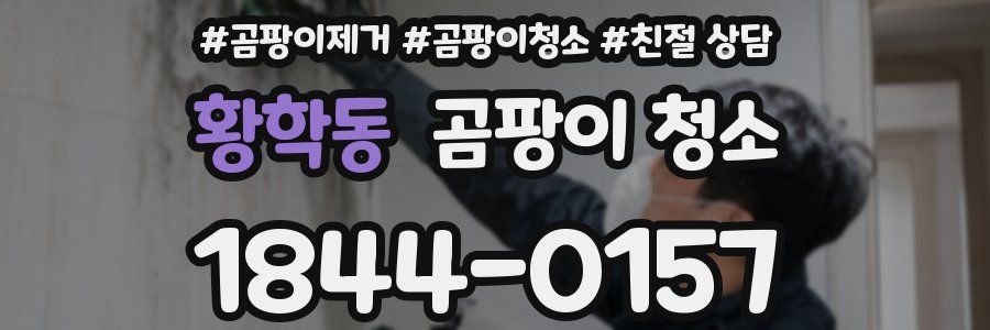황학동 곰팡이 청소