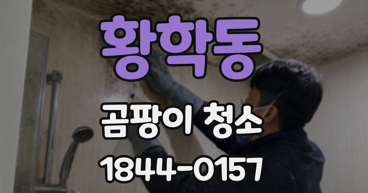 황학동 곰팡이 청소
