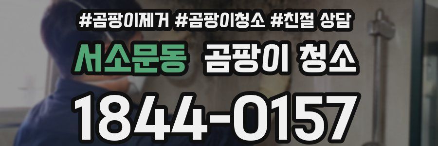 서소문동 곰팡이 청소
