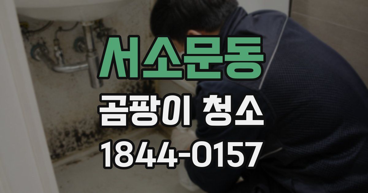 서소문동 곰팡이 청소