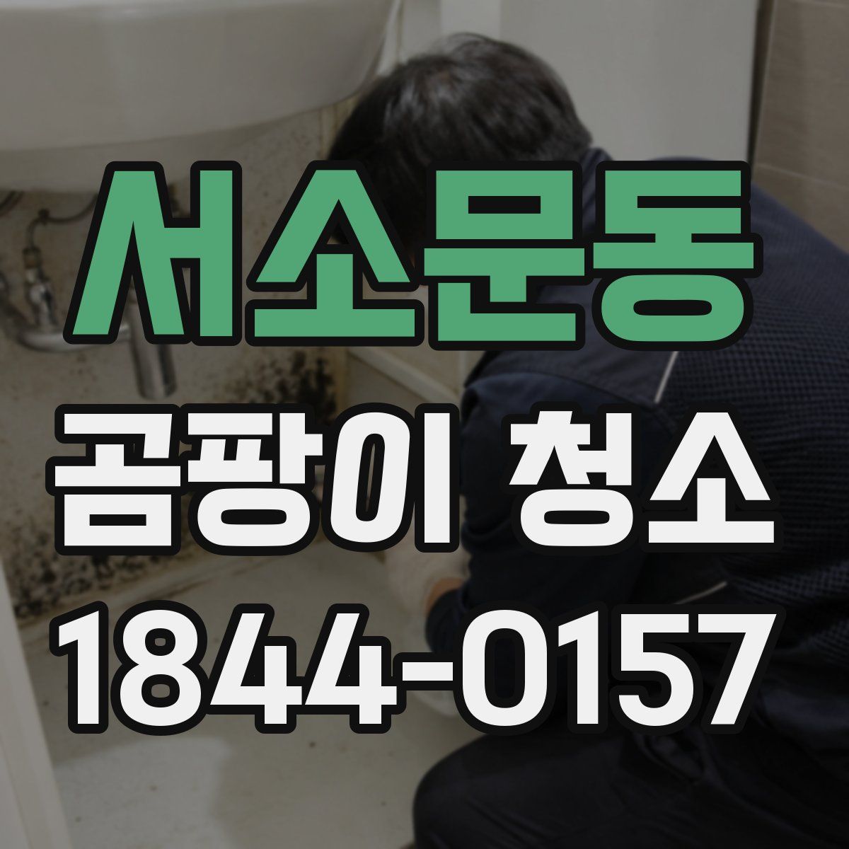 서소문동 곰팡이 청소