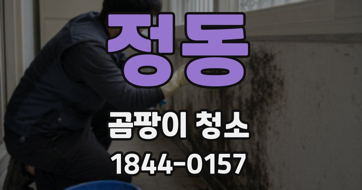 정동 곰팡이 청소