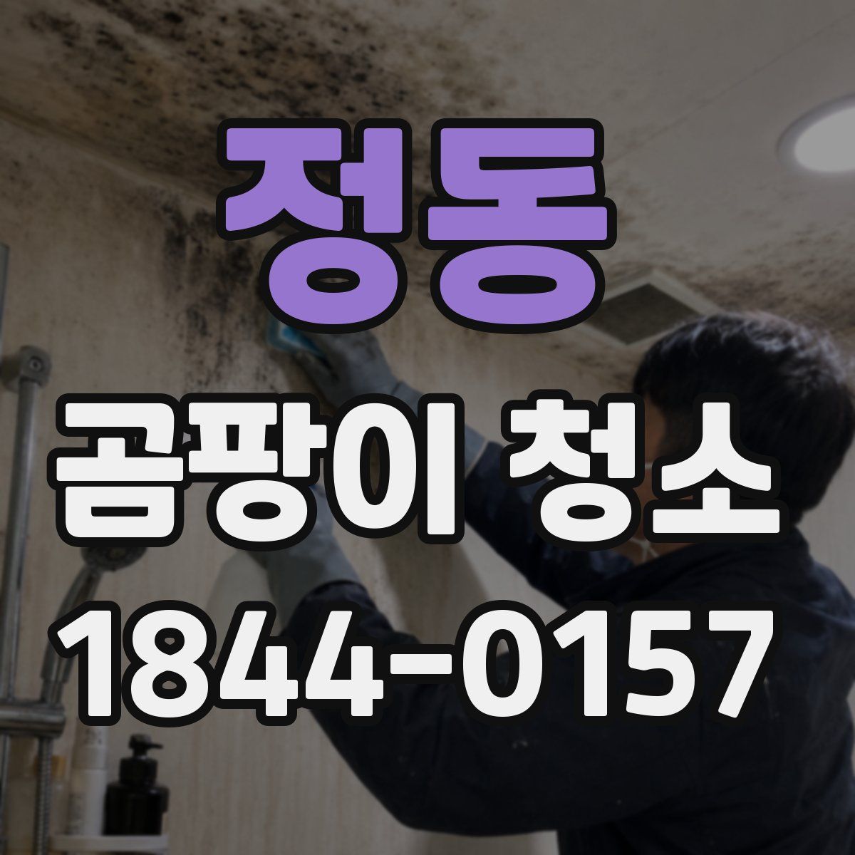정동 곰팡이 청소