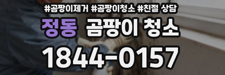 정동 곰팡이 청소
