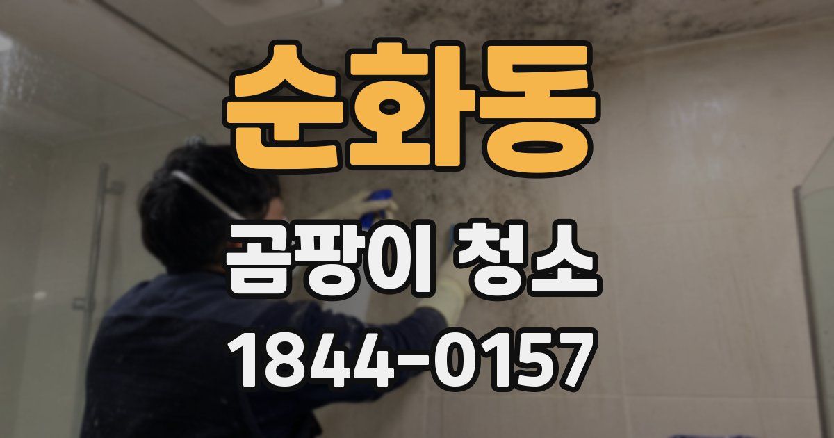 순화동 곰팡이 청소