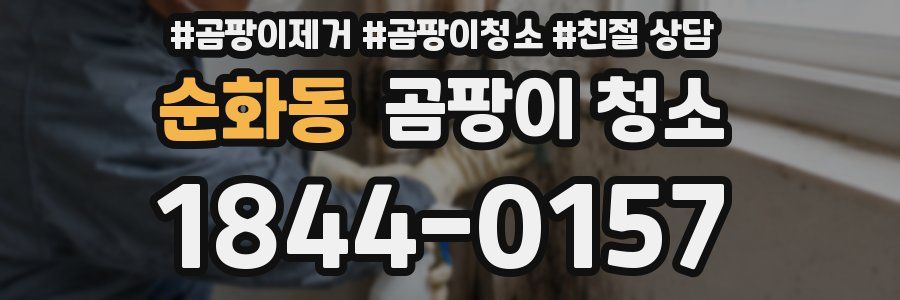 순화동 곰팡이 청소