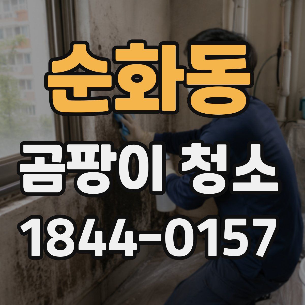 순화동 곰팡이 청소