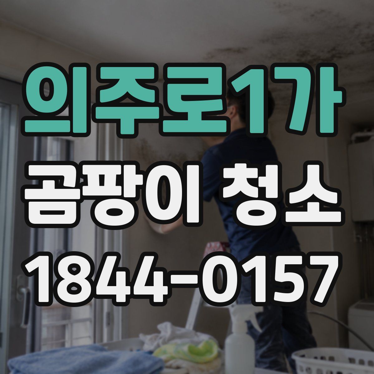 의주로1가 곰팡이 청소