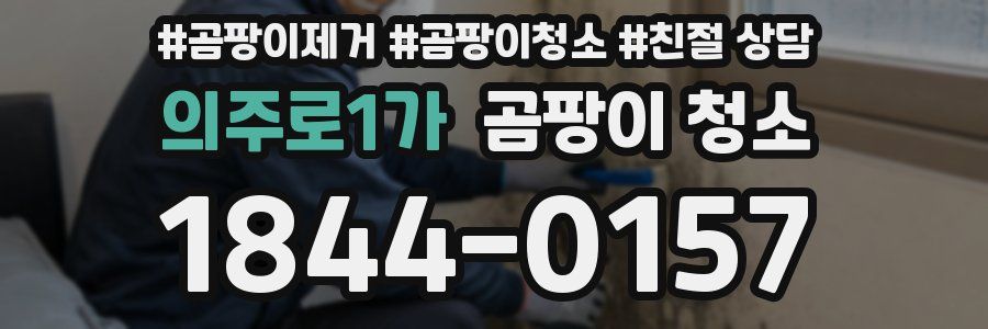 의주로1가 곰팡이 청소