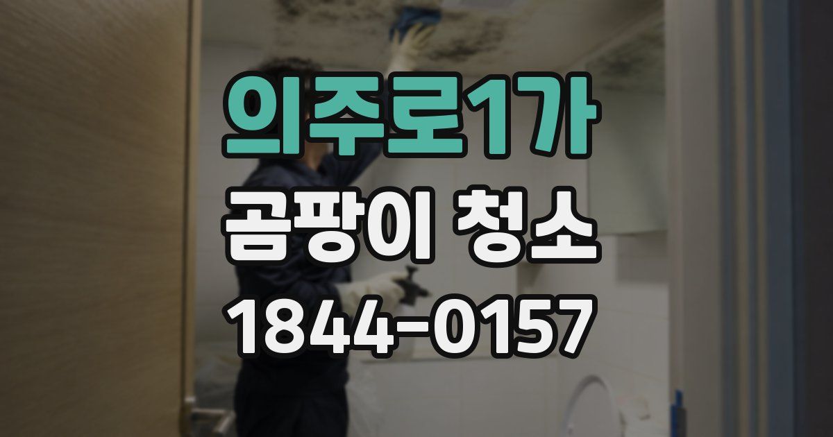 의주로1가 곰팡이 청소