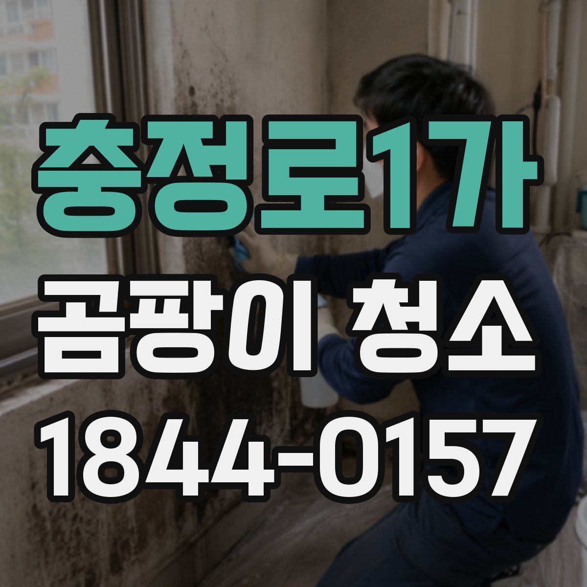 충정로1가 곰팡이 청소