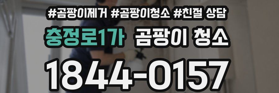충정로1가 곰팡이 청소