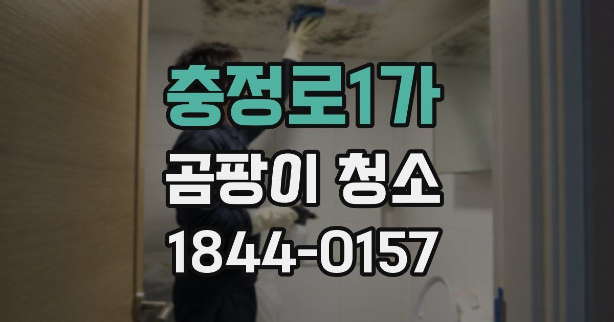 충정로1가 곰팡이 청소