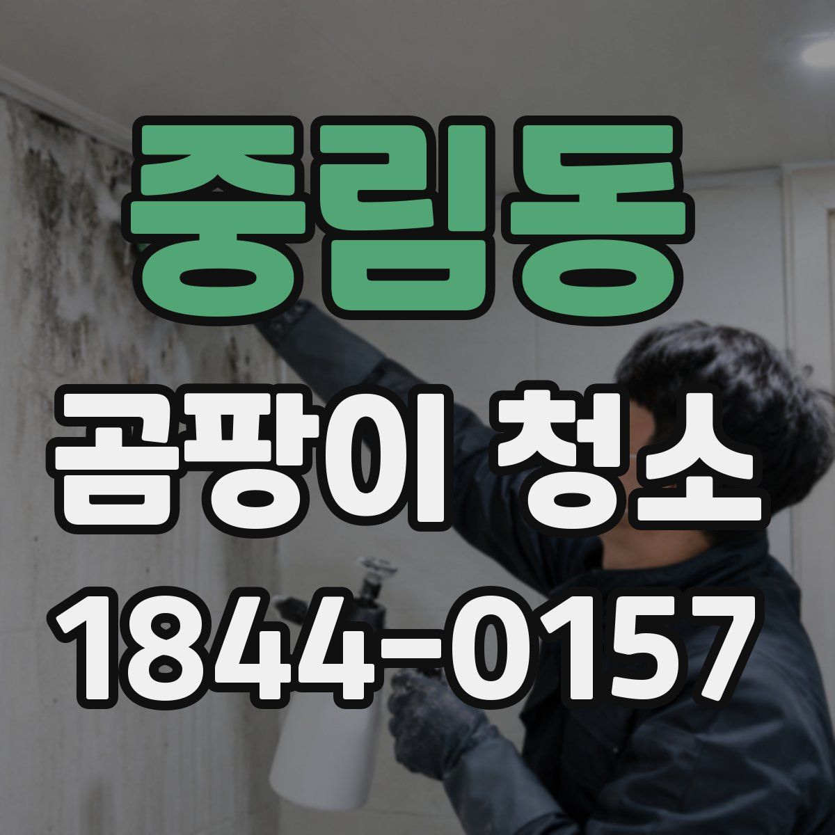 중림동 곰팡이 청소