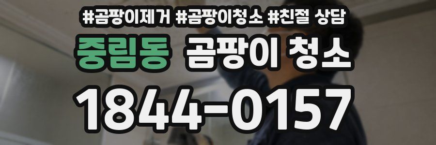 중림동 곰팡이 청소
