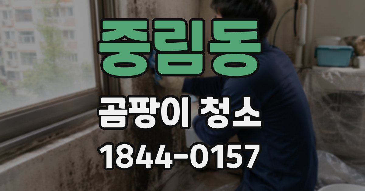 중림동 곰팡이 청소