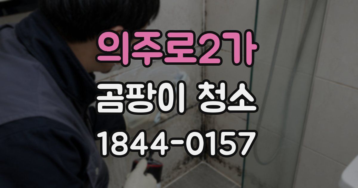 의주로2가 곰팡이 청소