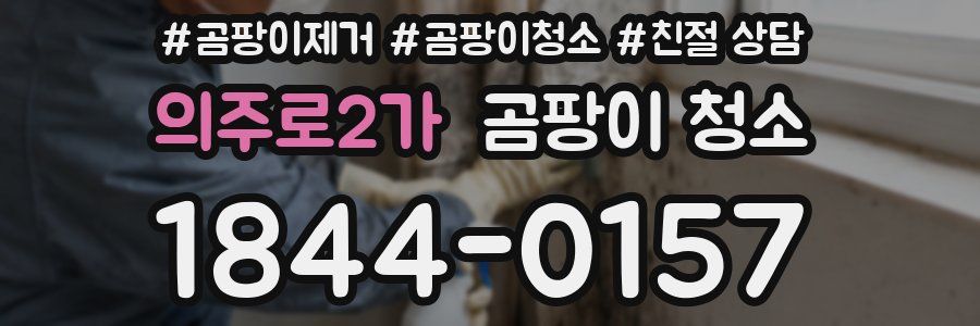 의주로2가 곰팡이 청소