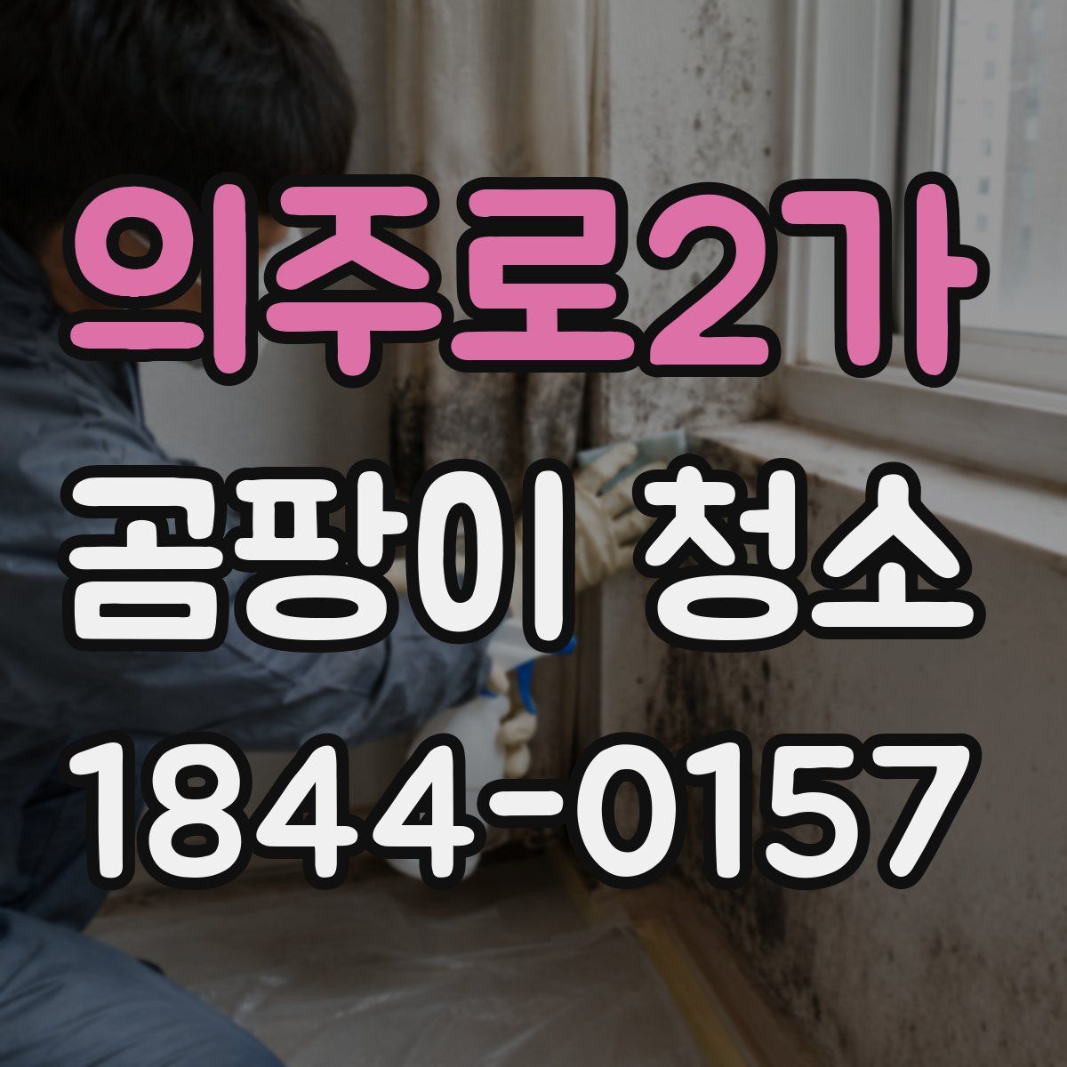 의주로2가 곰팡이 청소