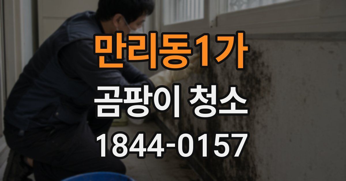 만리동1가 곰팡이 청소