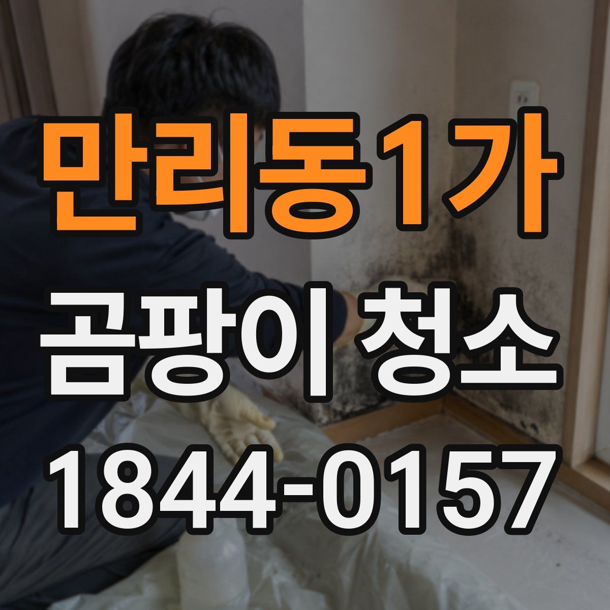만리동1가 곰팡이 청소