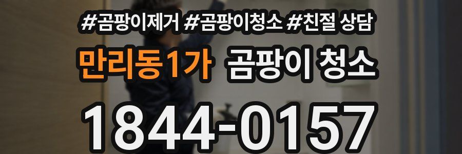 만리동1가 곰팡이 청소
