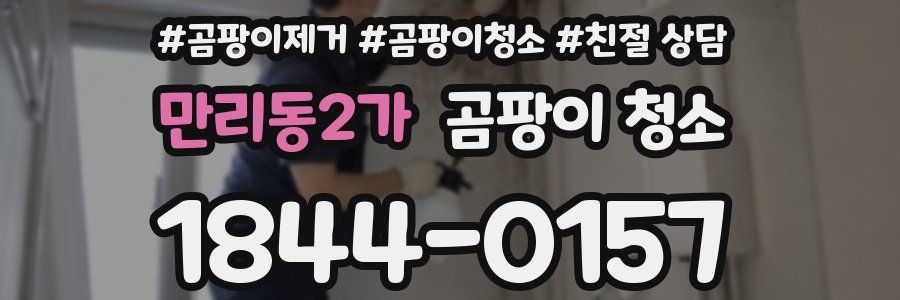 만리동2가 곰팡이 청소