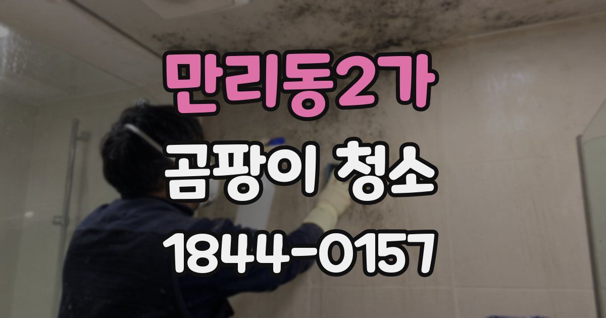 만리동2가 곰팡이 청소