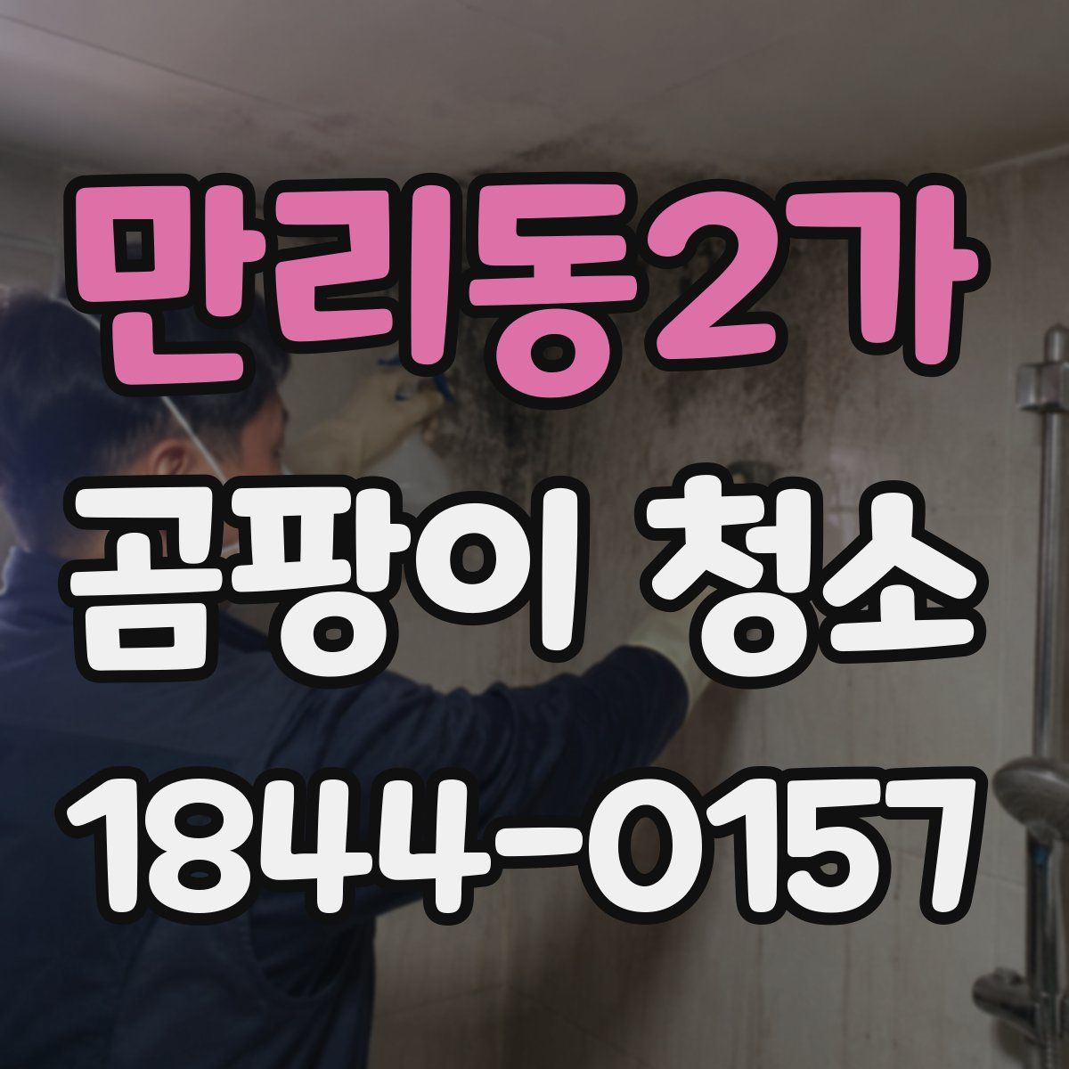 만리동2가 곰팡이 청소