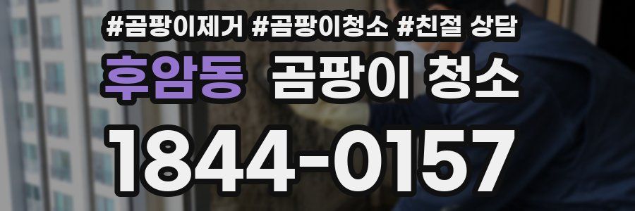 후암동 곰팡이 청소
