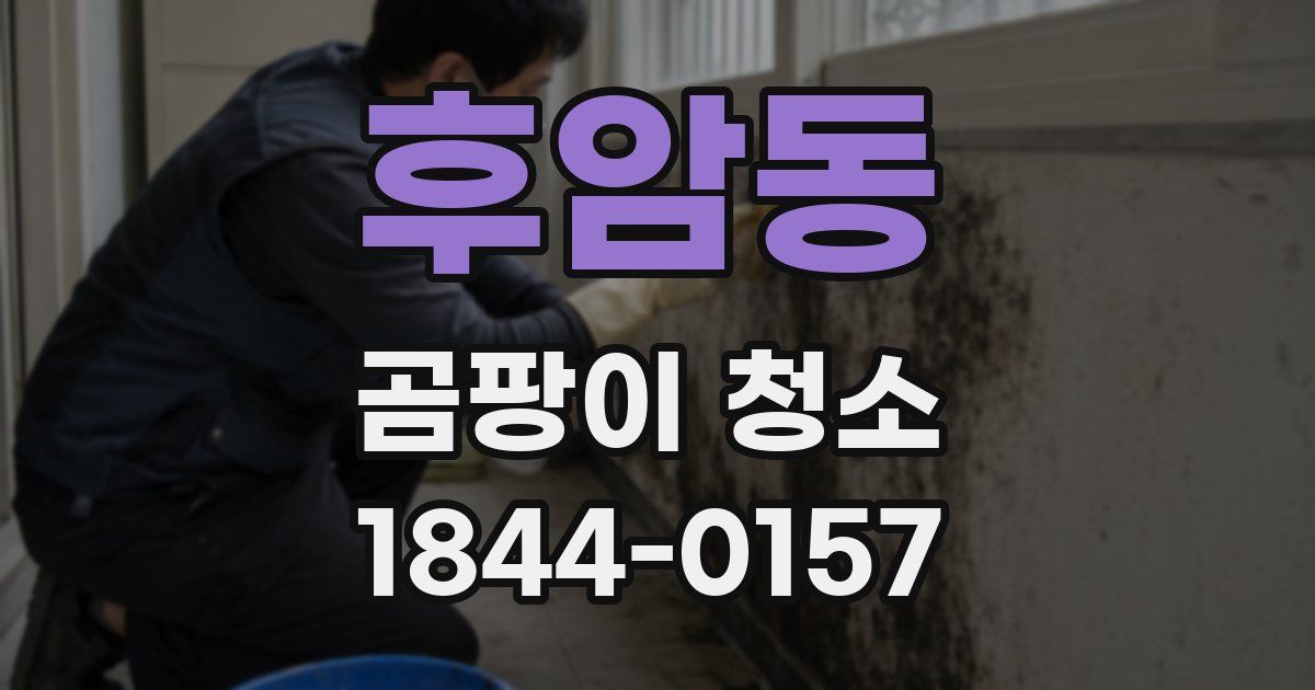 후암동 곰팡이 청소