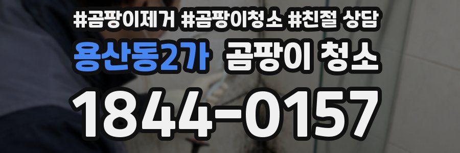 용산동2가 곰팡이 청소