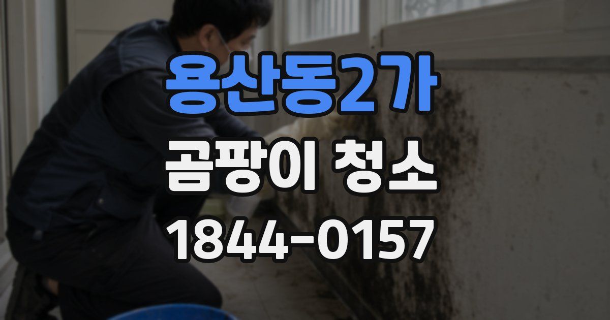 용산동2가 곰팡이 청소