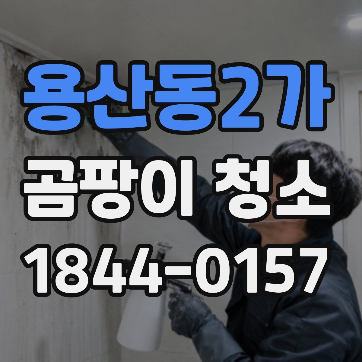 용산동2가 곰팡이 청소
