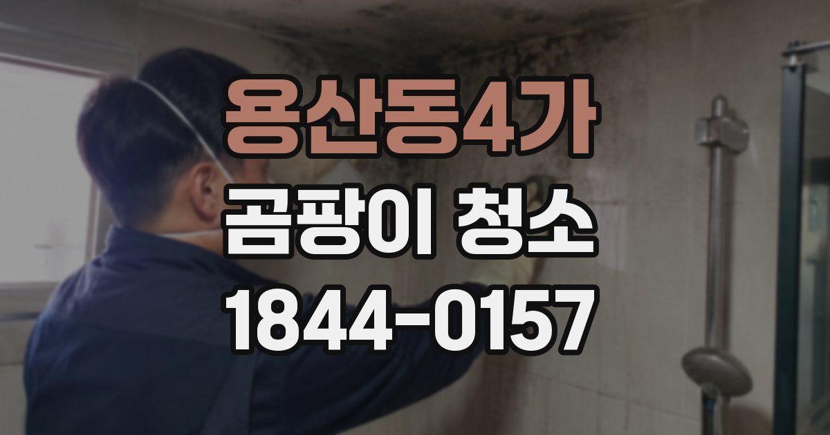 용산동4가 곰팡이 청소