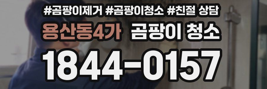 용산동4가 곰팡이 청소