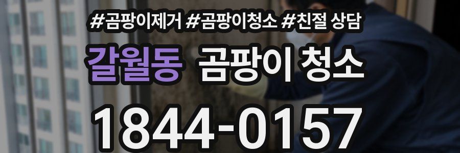 갈월동 곰팡이 청소