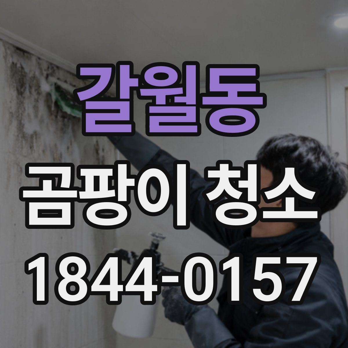 갈월동 곰팡이 청소