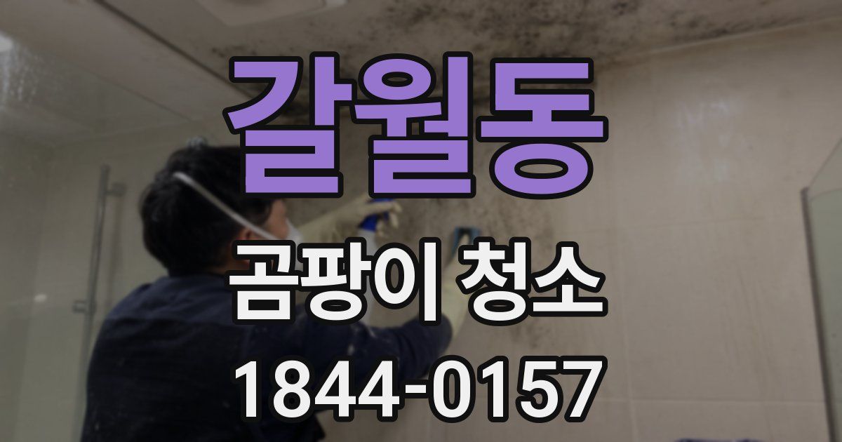 갈월동 곰팡이 청소