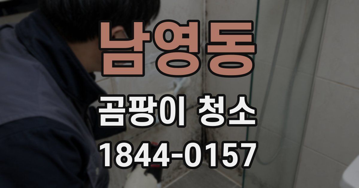 남영동 곰팡이 청소