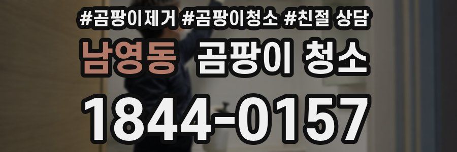 남영동 곰팡이 청소