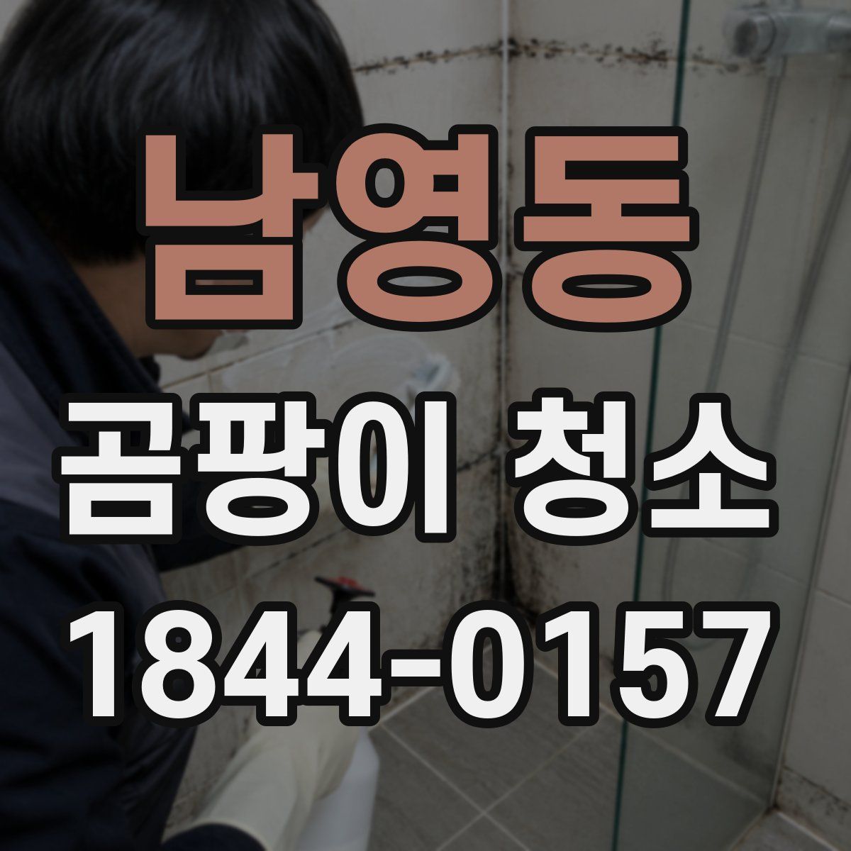 남영동 곰팡이 청소