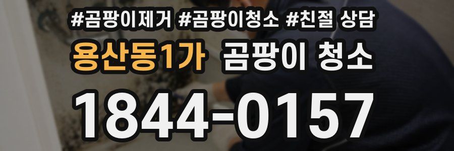 용산동1가 곰팡이 청소