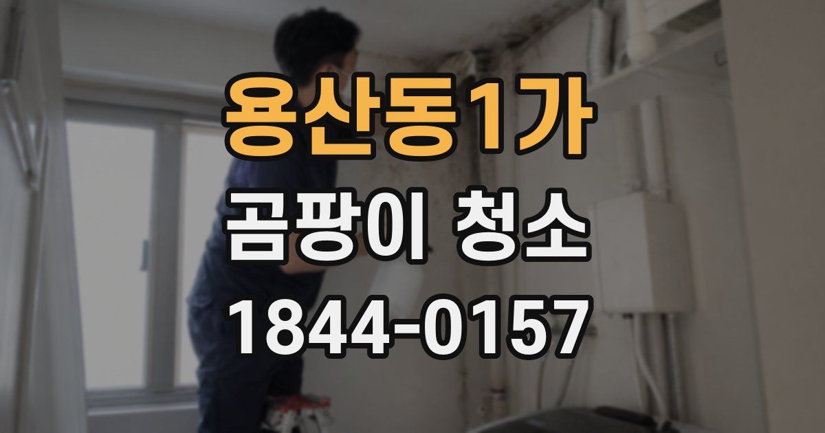 용산동1가 곰팡이 청소