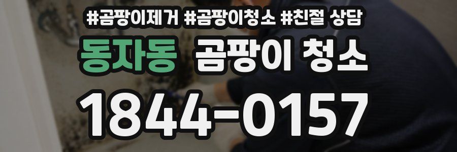 동자동 곰팡이 청소