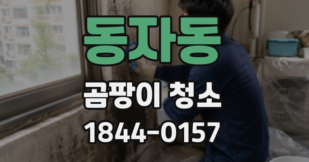 동자동 곰팡이 청소