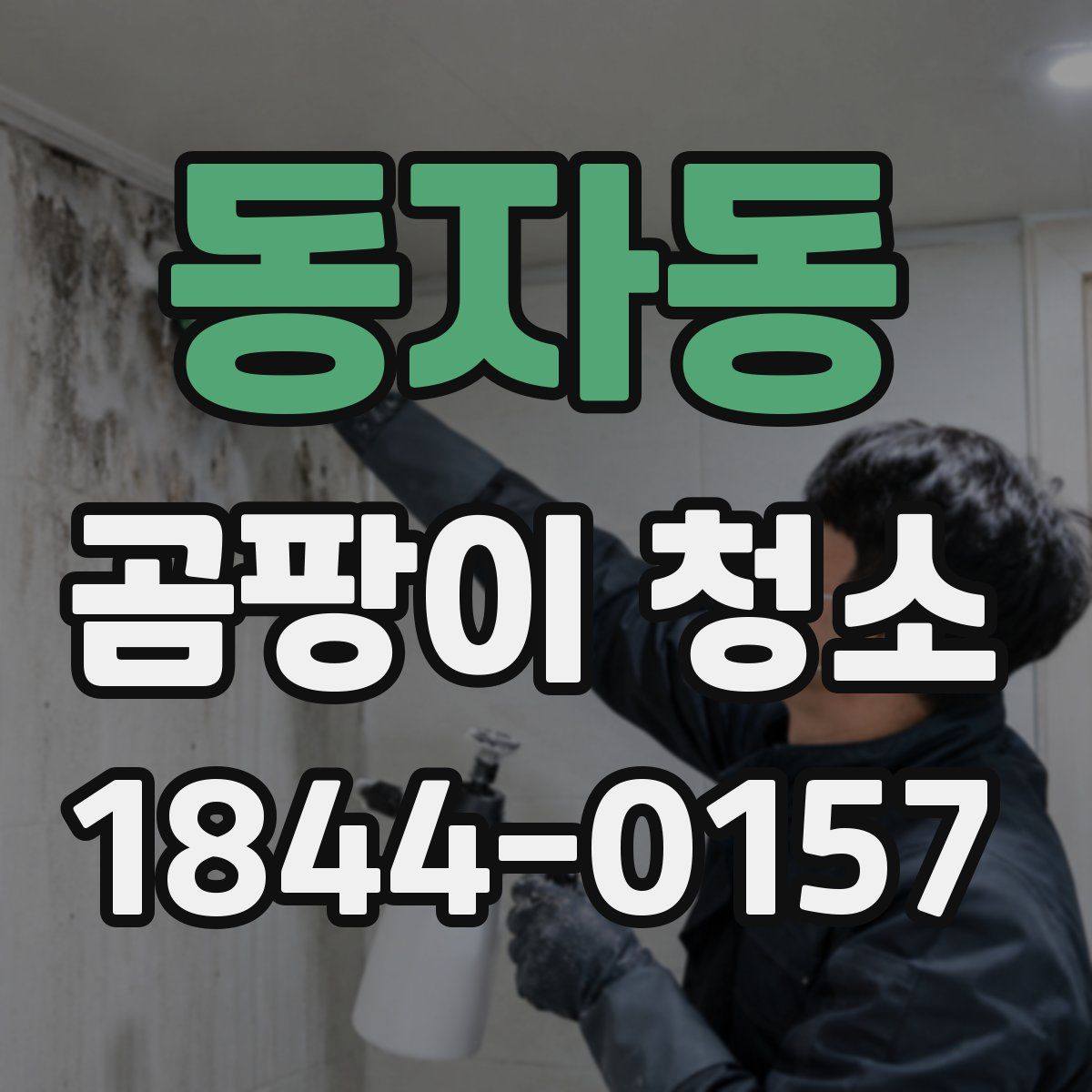 동자동 곰팡이 청소