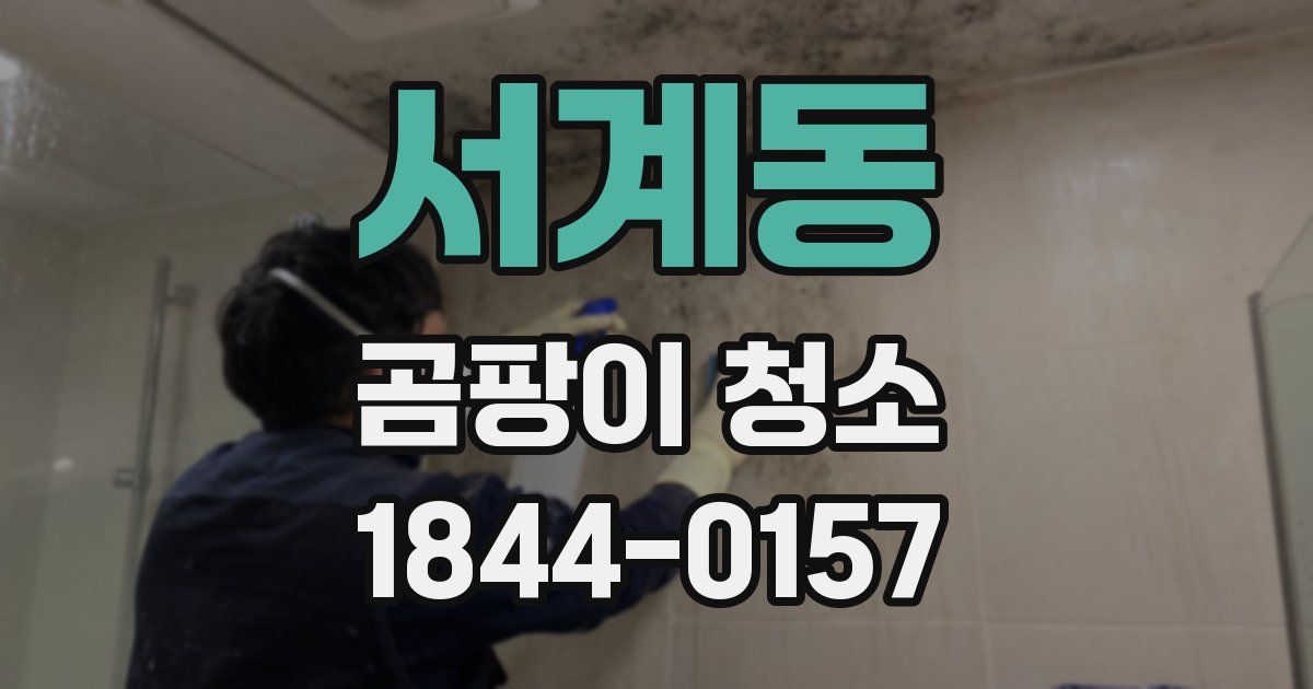 서계동 곰팡이 청소